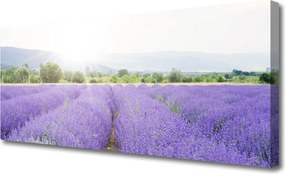 Obraz canvas Zapach Lawendowej Polany