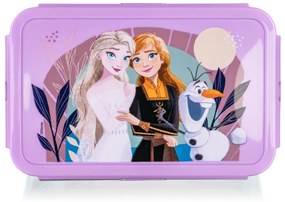 Vetro-plus Plastikowy pojemnik hermetyczny FROZEN1,19 l