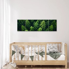 Obraz - Las (170x50 cm)