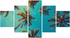 Obraz - Wysokie palmy (125x70 cm)