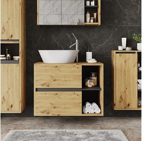 Szafka pod umywalkę artisan/szary 80x46x60 viola