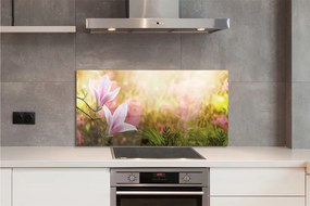 Szklany Panel Magnolia w Słońcu