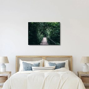 Obraz - Ścieżka przez las (70x50 cm)