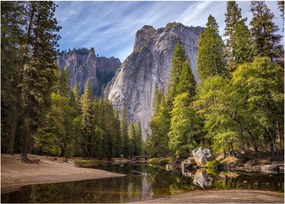 Obraz na szkle - Pod Yosemite Rock (70x50 cm)