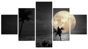 Obraz - Plaża pod pełnią księżyca w odcieniach szarości (125x70 cm)