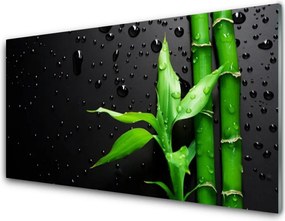 Panel Szklany do Kuchni Tropikalny Motyw Bambusa