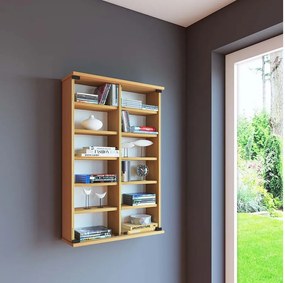 CD DVD Wall Shelf Closet Zuntisa Drzwi szklane