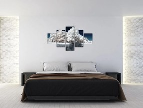 Obraz - Śnieżnobiałe drzewa (125x70 cm)