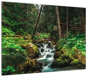 Obraz strumienia w lesie (70x50 cm)