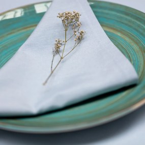 Komplet serwetek 6 szt. 42x42cm Loneta 133-35