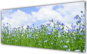 Szkło Dekoracyjne do Kuchni Harmonijna Flora Ogrodowa