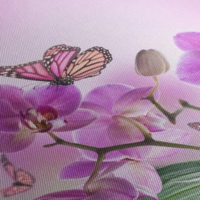 Obraz - Motyl na kwiatach orchidei, liliowy (z zegarem) (90x30 cm)
