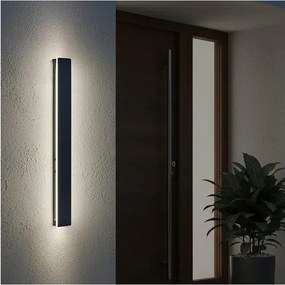 Zewnętrzny kinkiet LED MIRANA LED/12W/230V 4000K IP44 60 cm czarny