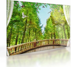Obraz na szkle - Widok na las (70x50 cm)