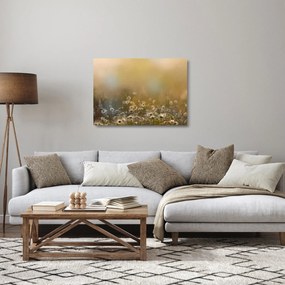 Obraz na szkle - Obraz na szkle olejny stokrotek (70x50 cm)