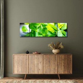 Obraz mięty (170x50 cm)