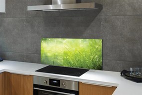 Szklany Panel Świeżość Rosy na Trawie