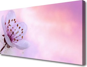 Zdjęcie na płótnie Rozkwitający Kwiat Ogrodowy