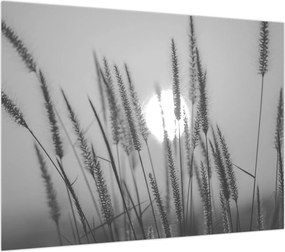Obraz - Łąka o zachodzie słońca (70x50 cm)