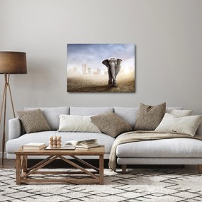 Obraz - Słonie w wielkim mieście (70x50 cm)