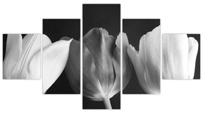 Obraz - Czarno - białe kwiaty tulipanów (125x70 cm)