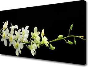 Duży obraz na płótnie Polne Kwiaty w Rozkwicie