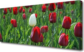 Obraz canvas na ścianę Romantyczny Ogród Tulipanowy