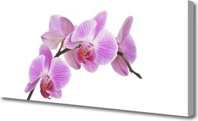 Obraz na płótnie Wyrafinowany Bukiet Kwiatowy