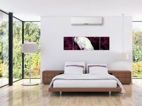 Obraz - Biały paw (170x50 cm)