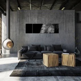 Obraz - Kły słonia (170x50 cm)