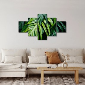 Obraz - Tropikalne liście (125x70 cm)