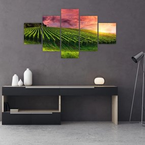 Obraz winnicy z kolorowym niebem (125x70 cm)