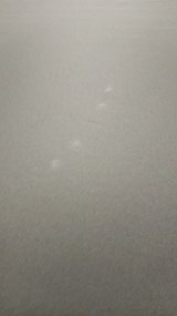 Gastro Magic Junior 240x240 cm bez falbany - parasol ogrodowy - Towar z drobną wadą (S249)