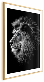 Plakat Niebieskooki lew 21x30 cm z ramą złotą z marginesem ARTGEIST B