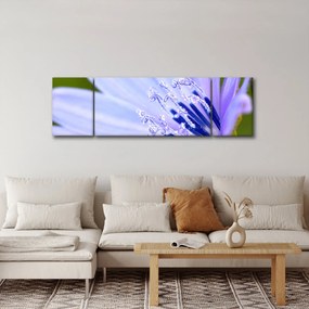 Obraz - Kwiat (170x50 cm)