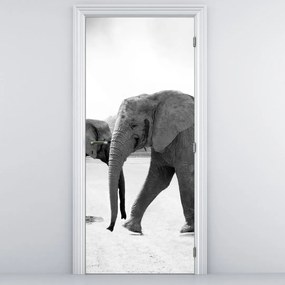 Fototapeta na drzwi - Słonie (95x205cm)