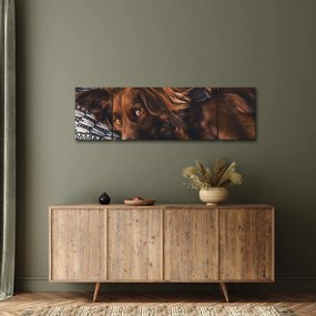 Obraz leżących psów (170x50 cm)