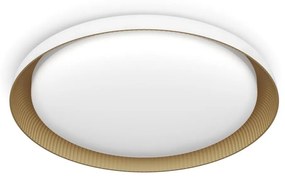 Philips - LED Plafon ściemnialny PEBBLO LED/10W/230V 4000K biały