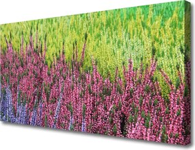 Obraz na płótnie Delikatność Płatków Kwiatowych