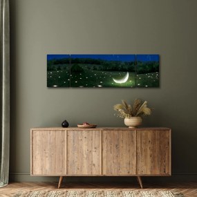 Obraz - Spadające niebo (170x50 cm)