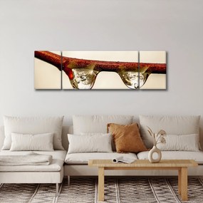 Obraz kropli na gałęzi (170x50 cm)
