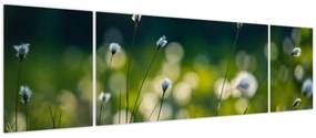 Obraz - Trawa (170x50 cm)