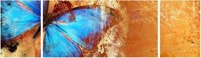 Obraz - Niebieski motyl (170x50 cm)