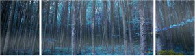 Obraz - Magiczny las (170x50 cm)