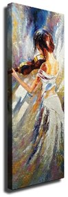 Obraz na płótnie Violin Player, 30x80 cm