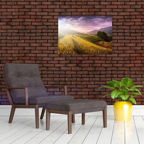Obraz na szkle krajobrazu (70x50 cm)