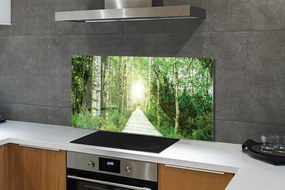 Szklany Panel Droga przez Las Brzozowy