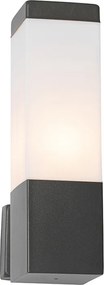 Nowoczesna lampa ścienna zewnętrzna ciemnoszara z opalizującym szkłem - Malios