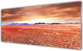 Szkło Ozdobne do Kuchni Egzotyczna Pustynia I Piasek