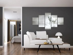 Obraz - Biały koń (125x70 cm)